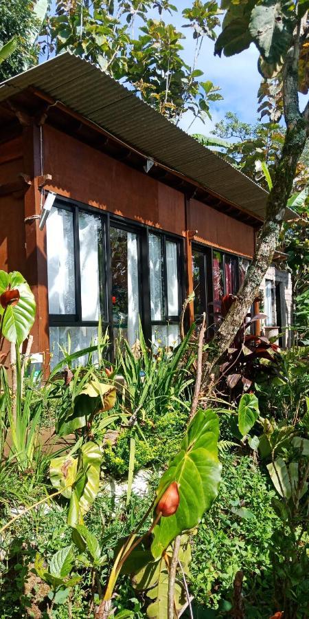 Jungleadventure Cabin Camping Бедугул Экстерьер фото
